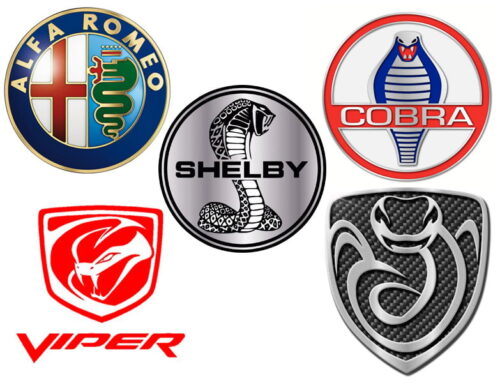 Día mundial de las serpientes: ¿Qué importancia tiene para las marcas de coches?